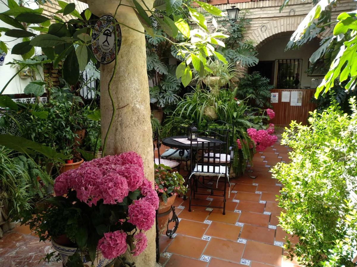 Pension Los Arcos 코르도바 외부 사진